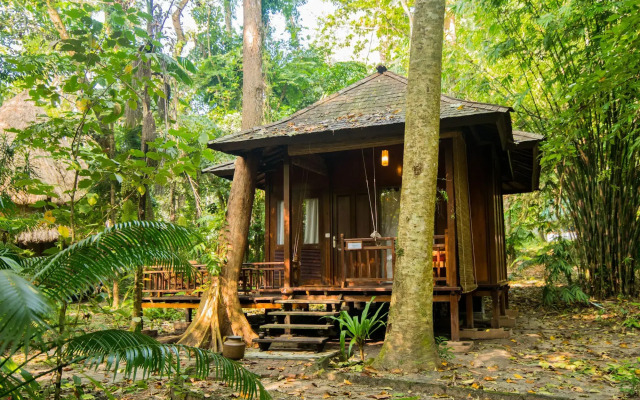 Barefoot at Havelock