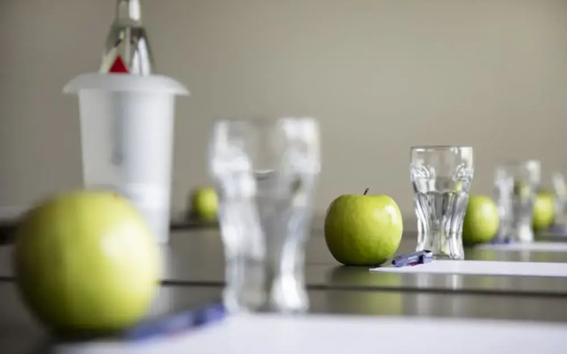 Hotel Rheingarten Duisburg