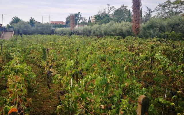 CASALE "GAIA"- Relax nel VERDE con Piscina Privata Esclusiva
