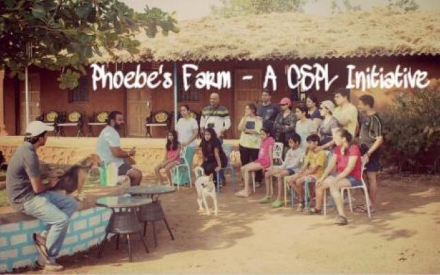 Phoebe's Farm