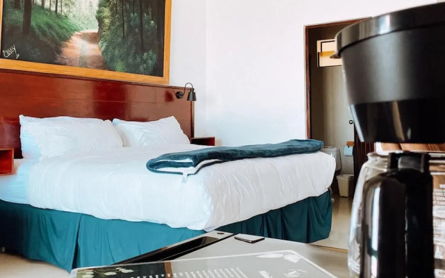 Verdant Hotel & Holistic Experience