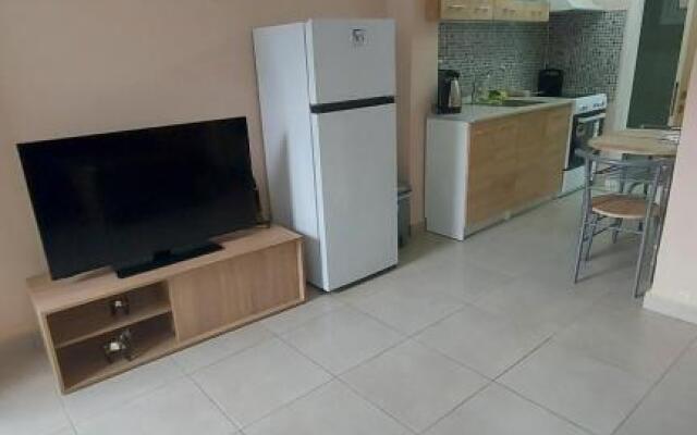 2020 renovated, sunny apartment with yard/garden
