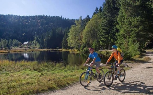 Bayerische Gastwirtschaft Dimpfl-Stadl