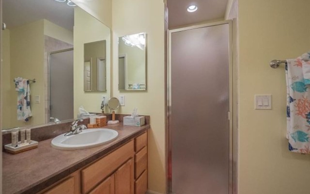 Amber Court 871 by White Pelican VR