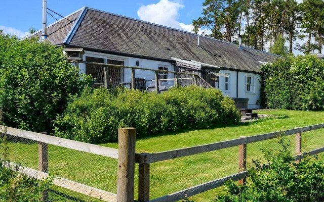 Dalnoid Cottages & Treehouses