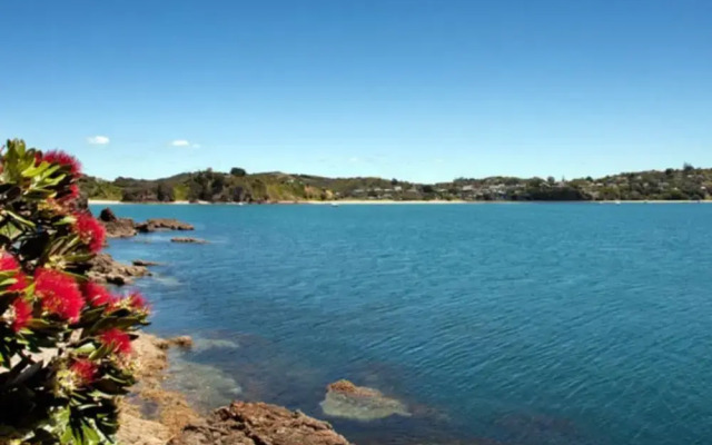 Palm Beach Bungalows