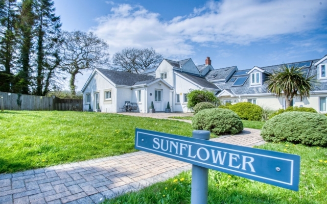 Sunflower Apartment - 2 Bed Apartment - Redberth