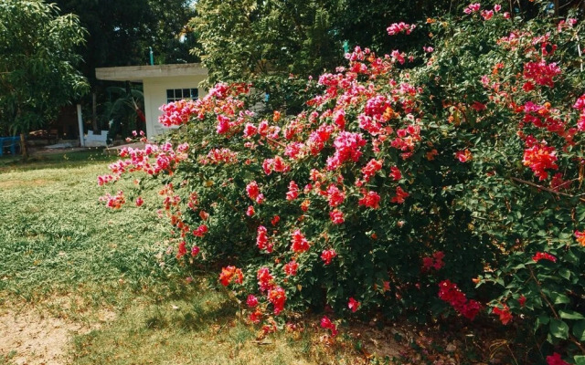 Apartamento Mango Tree