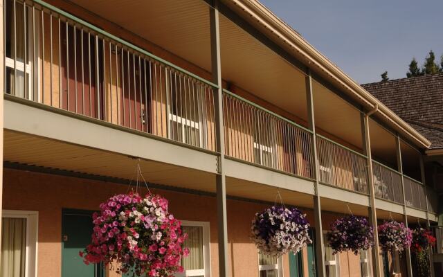 Lakeview Inns & Suites - Hinton