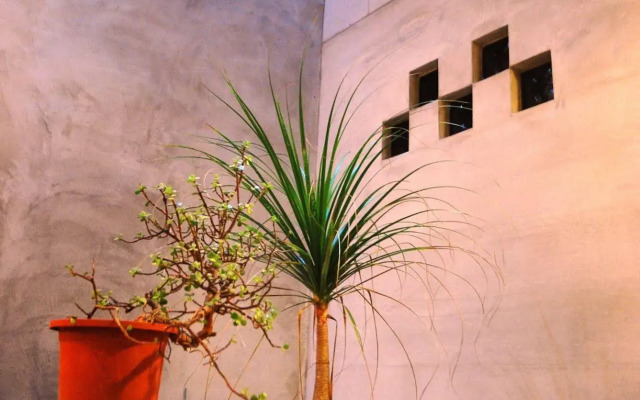 Puli Center Center Hostel