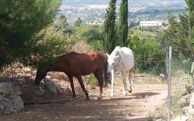 Bed and Breakfast da Lucia