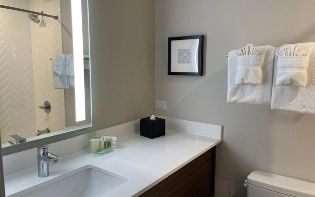 Holiday Inn & Suites Chicago - Downtown by IHG