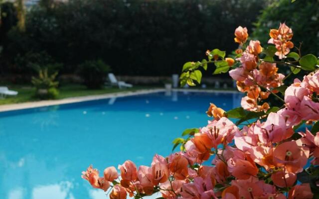 Villa Megna - Green Paradise B&B