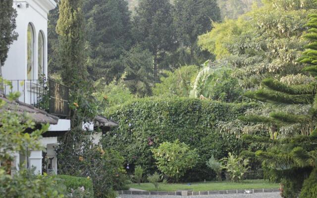 Casa Buho B&B