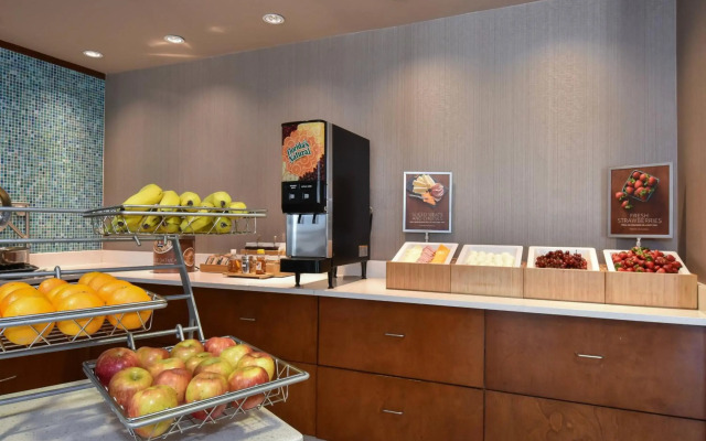 SpringHill Suites by Marriott Columbia Downtown/The Vista