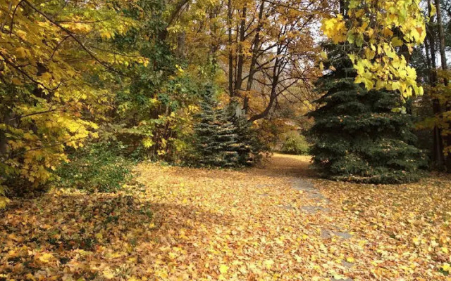 Richmond Manor Bed & Breakfast