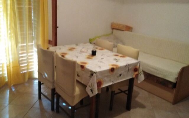 Apartment Darko - 100m from sea: A2 DVOSOBNI  Vir, Zadar riviera