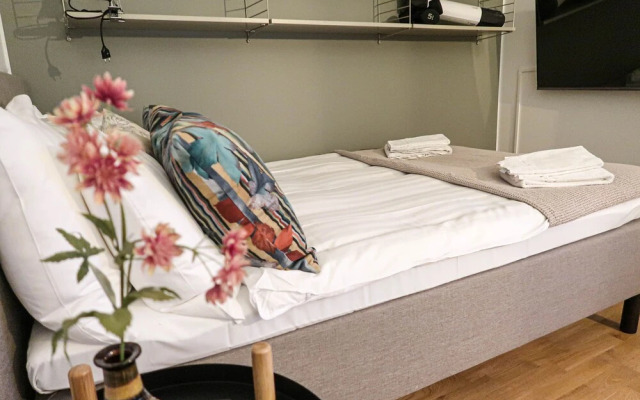 Luxury Studio Apartment