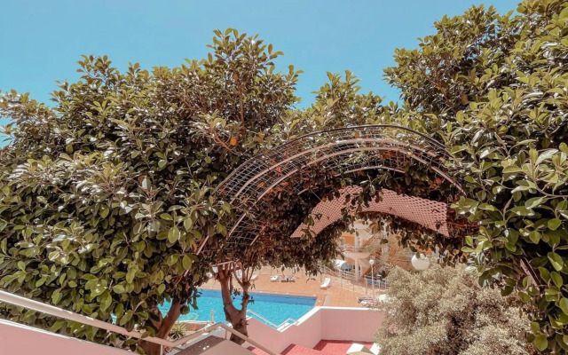 Orland, center of Las Americas LA205