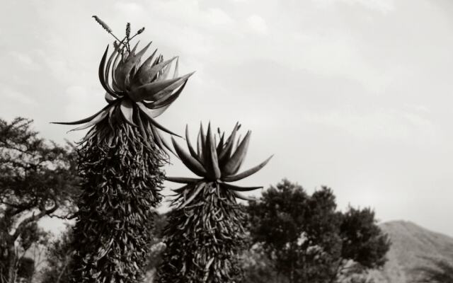 Twin Thorns Guesthouse