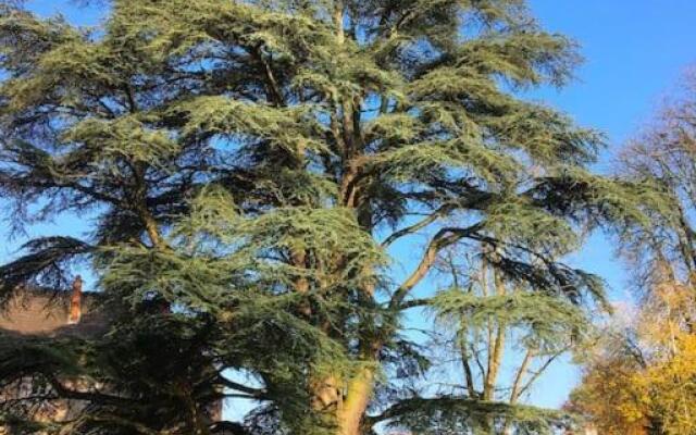 Grand T3 avec cour intérieure