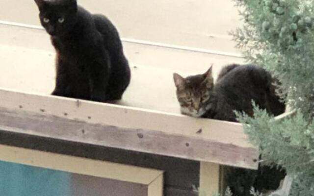 Ferienwohnung Vogesenblick