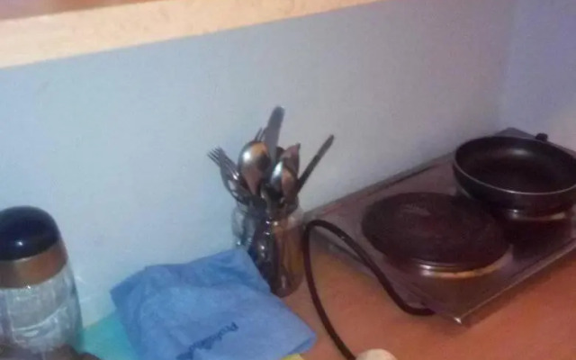 Flat 18 Minutes From Vaclavske Namesti