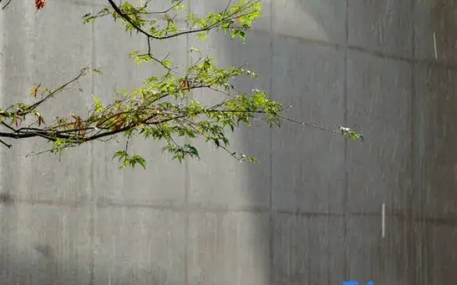 Xianju Chun and Qingxi Homestay