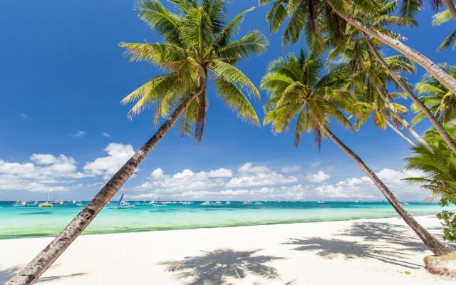 Blue Ribbon Dive Resort