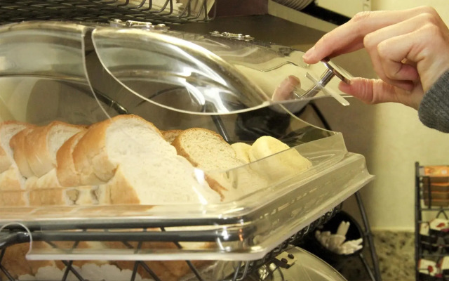 Best Western Swan Castle Inn