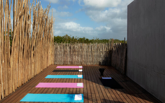 Aluna by Ahau Collection
