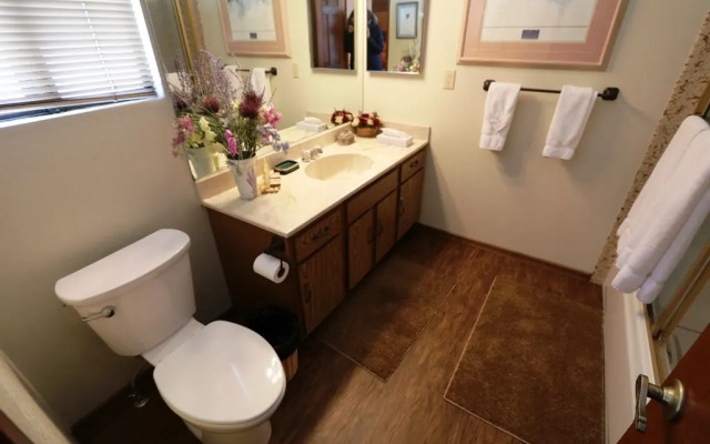 Mammoth Sierra Townhomes #21