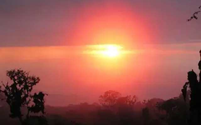 Birdwatchers House y Lodge