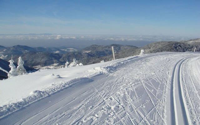 FreyenhÃ¶fe - INH 23103