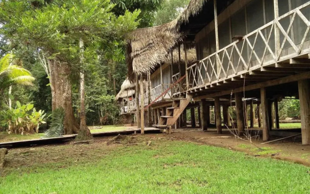 Lodge Jungle Wolf Expeditions
