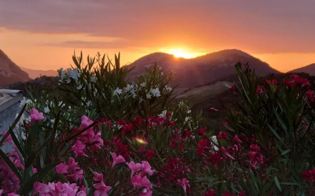 T3 Piscine Avec Jardin Proche St-florent