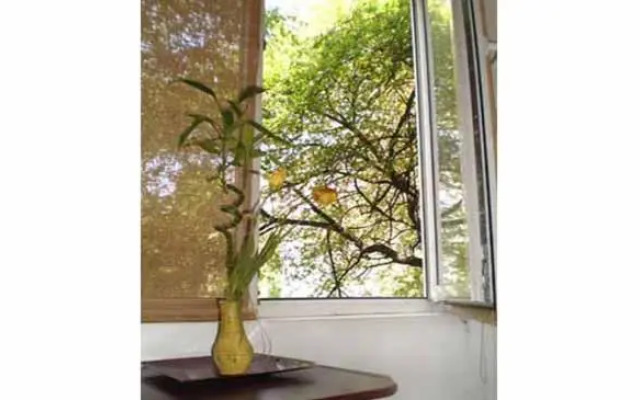 Floreasca Park Studio Apartment