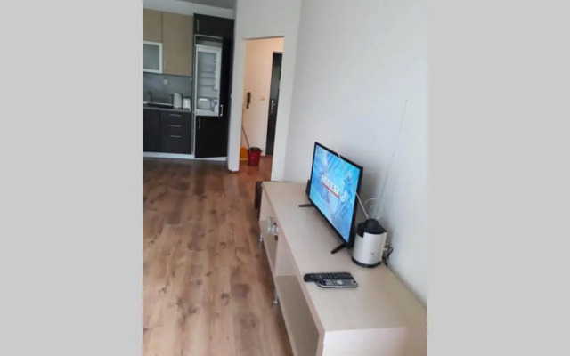 Apartment Detelina Residence
