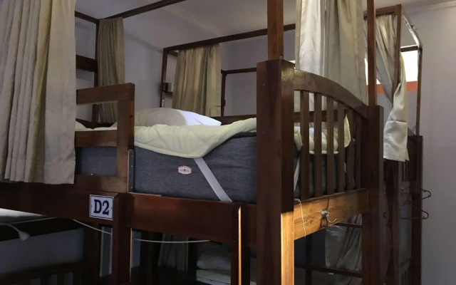 Bajo Nature Backpackers