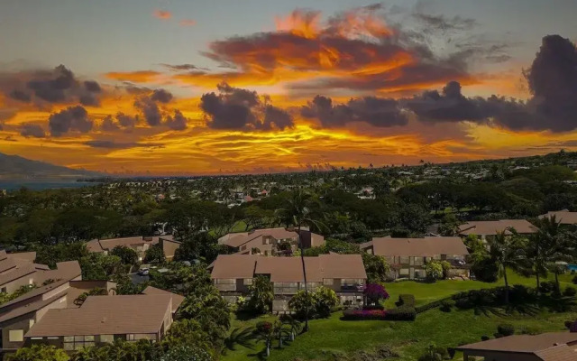 Wailea Ekahi 40d 1 Bedroom Condo