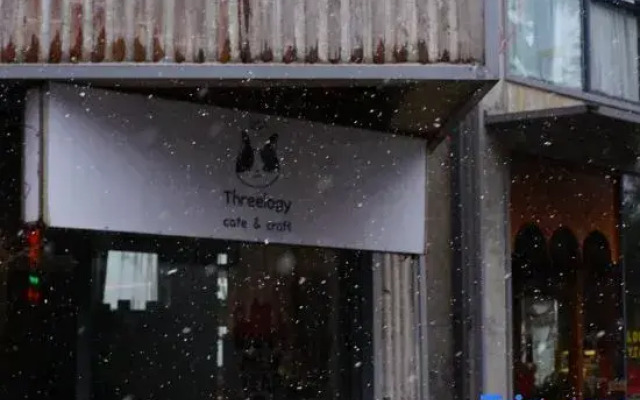 Three logy cafe&craft