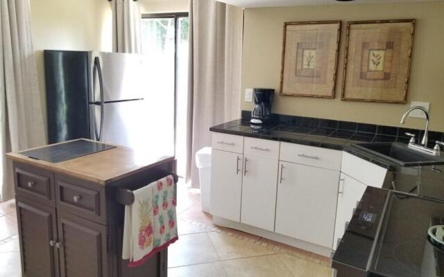 Seas the Day - Lower