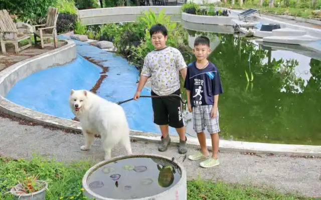 Tantai Eco Farm Stay at Khao Yai