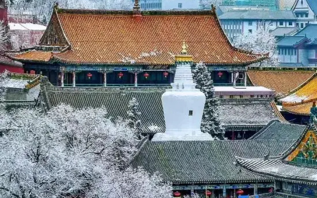 Shankee Hotel (Wutaishan Scenic Area)