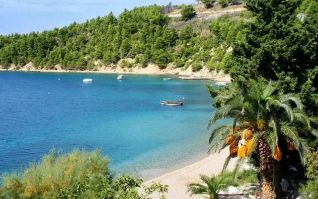 Branka - at the Beach - A1