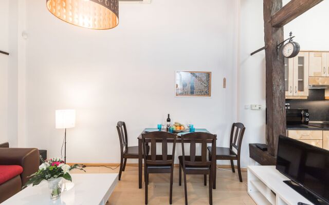 Spacious Apartments in Heart of Prague