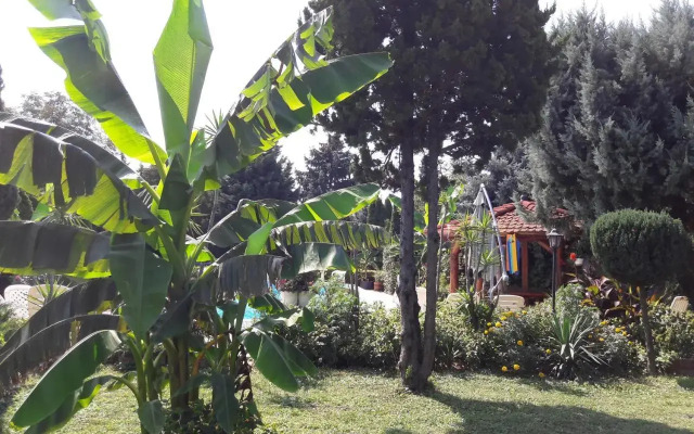 Palatinus Apartmanok