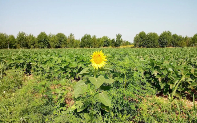 Agriturismo Al Benandant