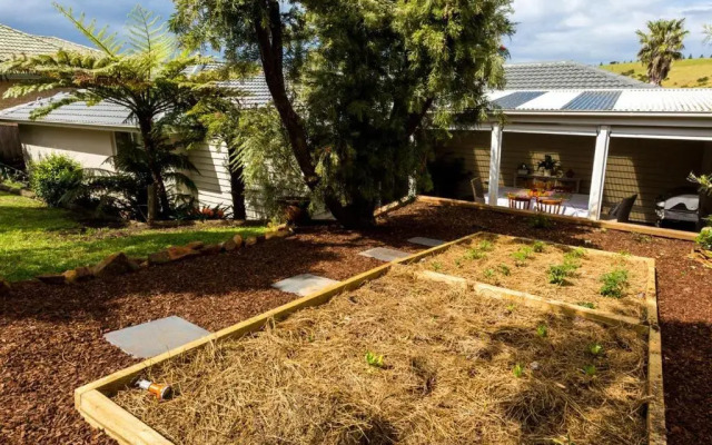 WHALE WATCH FOR FOUR Gerringong 4pm check out Sundays