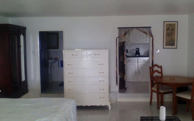 Chesters studio